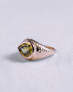 Fall Bubble Signet Ring