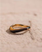 Tiger Eye Band