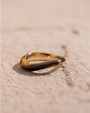 Tiger Eye Band